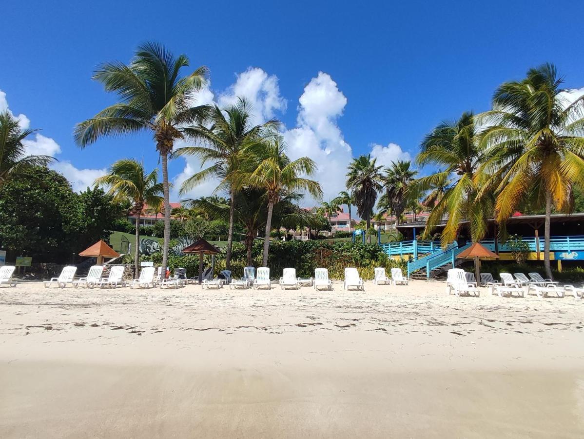 Studio Vue Mer Guadeloupe Сент-Анн Екстер'єр фото